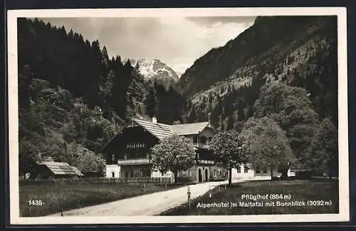 AK Maltatal, Alpenhotel Pflügelhof, Bes. K. Asperger