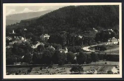 AK Bad Sauerbrunn, Teilansicht mit Wald