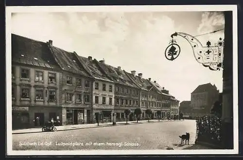 AK Sulzbach / Oberpfalz, Luitpoldplatz m. ehem. herzogl. Schloss