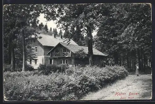 AK Neukirchen / Hohenbogen, Jagdhaus Hoher Bogen