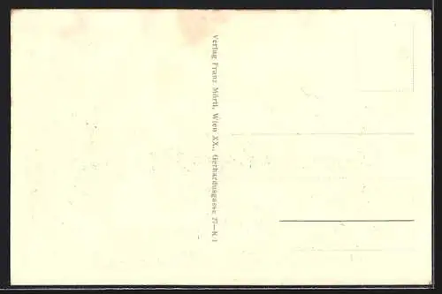 AK Oggau am Neusiedlersee, Ortsansicht, Wasserpartie mit Segelbooten, Strassenpartie, Storchennest auf Schornstein