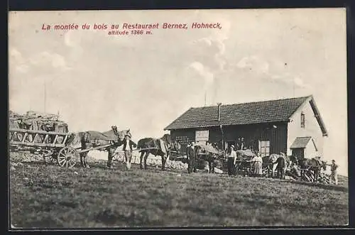 AK Hohneck, La montée du bois au Restaurant Bernez, altitude 1366 m