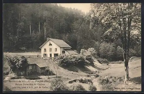 AK Celles-sur-Plaine, Maison Forestière de Colot entourée de verdure