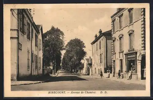 AK Mirecourt, Avenue de Chamiec