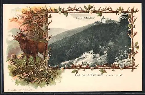 AK Col de la Schlucht, Hôtel Altenberg et cerf majestueux dans la forêt alpine