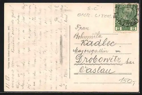 AK Leitmeritz / Litomerice, Ortsansicht mit Dampfer Kaiser Wilhelm