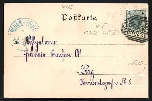 AK Rothberg b. Bodenbach a. E., Teilansicht mit Schloss Teschen und Schäferwand