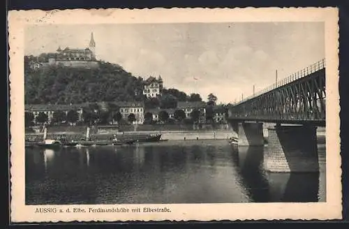 AK Aussig a. d. Elbe, Ferdinandshöhe mit Elbestrasse