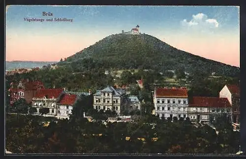 AK Brüx, Vogelstange und Schlossberg