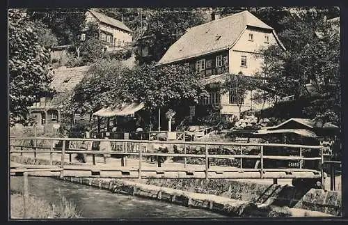 AK Herrnskretschen a. Elbe, Schlögel`s Gasthaus von Wilhelm Günther mit Flussufer