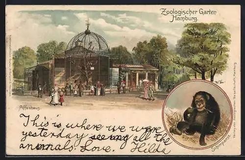 Lithographie Hamburg, Zoologischer Garten, Schimpanse, Affenhaus