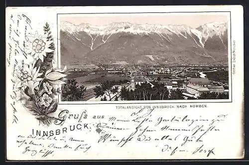 Vorläufer-Lithographie Innsbruck, 1893, Totalansicht der Stadt nach Norden