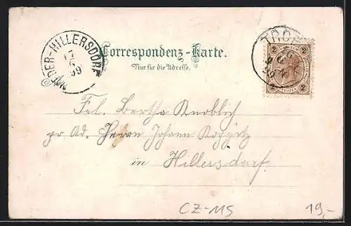 Lithographie Troppau, Museum, Josef`s Park, Kaiser Josef II.