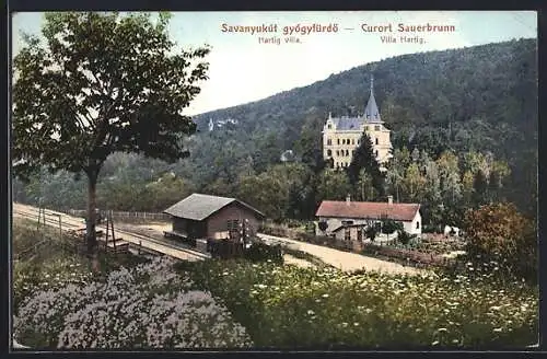 AK Bad Sauerbrunn, Blick auf die Villa Hartig