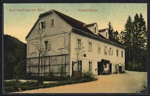 AK Bad Neuhaus b. Cilli, Wiesenhaus