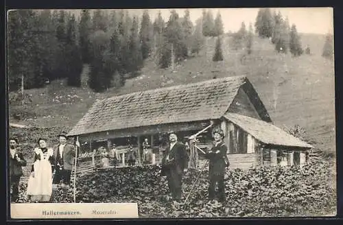 AK Bad Hall, Hallermauern, Besucher auf der Moseralm