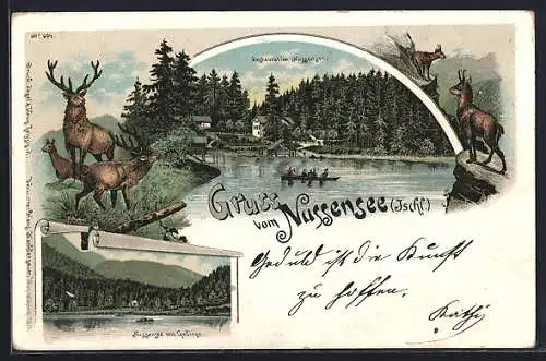 Lithographie Bad Ischl, Restaurant Nussensee, Nussensee mit Gebirge