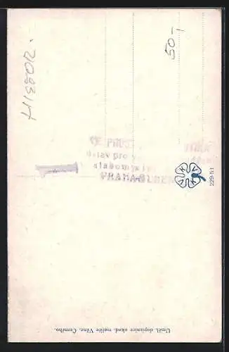 AK Prag 1424, Kriegsherren im Felde