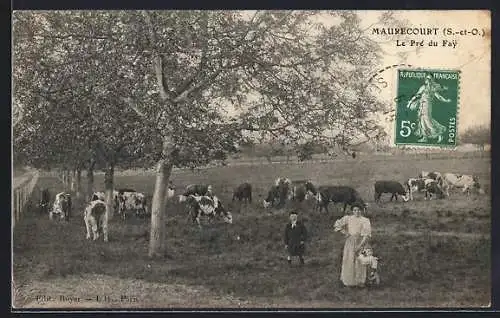 AK Maurecourt /S.-et-O., Le Pré du Fay