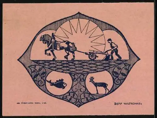 Notgeld Hagenberg 1920, 20 Heller, Gebäudeansichten und Pflügender Bauer mit Sonne, Fisch und Reh