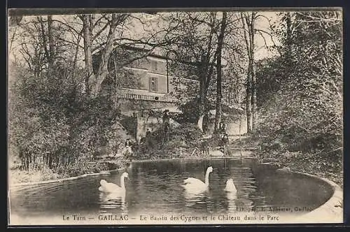 AK Gaillac, Le Bassin des Cygnets et le Chateau dans le Parc