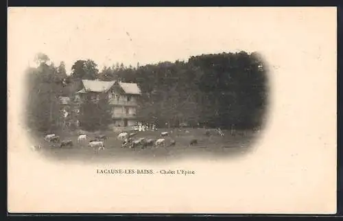 AK Lacaune-les-Bains, chalet l'Epine