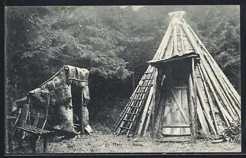 AK Forstwirtschaft, Köhlerhütte und Köthe im Harz