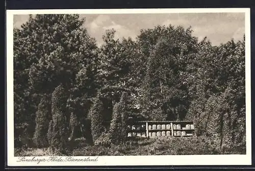 AK Bienenstöcke in der Lüneburger Heide