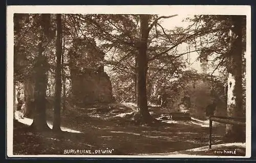 AK Dewin, Partie an der Burgruine