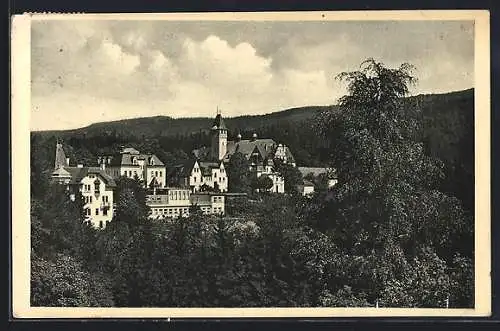 AK Liberec, Ortsansicht in Waldlandschaft