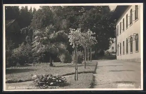 AK Bad Unter-Wurzelsdorf, Partie im Park