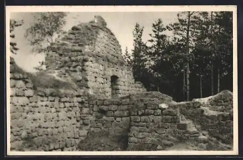 AK Klein-Skal, Burgruine Zbiroh