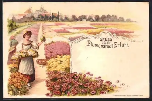 Lithographie Erfurt, Ortsansicht von den Blumenfeldern aus