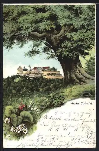 Lithographie Coburg, Veste aus der Ferne