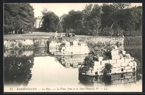 AK Rambouillet, Le Vieux Pont et la Tour Francois Ier dans le parc