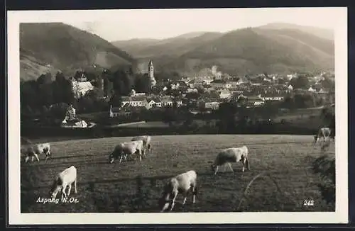 AK Aspang /N. Oe., Teilansicht mit weidenden Kühen