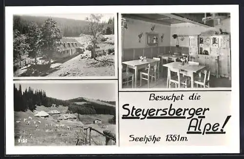 AK Kirchberg am Wechsel, Berghütte Steyersberger Alpe