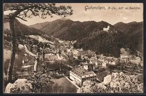 AK Gutenstein, Panorama