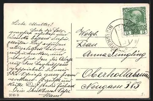 AK Gutenstein, Panorama