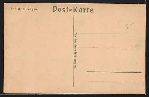 Lithographie Berlin-Tiergarten, Reichstagsgebäude, Unter den Linden