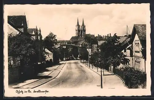 AK Oschatz in Sa., Dresdner Strasse mit Bäumen