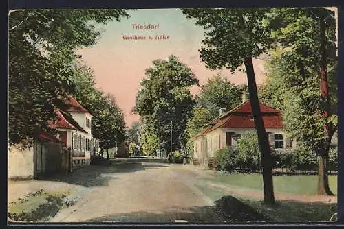 AK Triesdorf, Partie am Gasthaus zum Adler