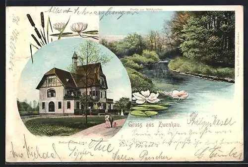 AK Zwenkau, Rotherburger Villa, Partie am Mühlgraben mit Seerosen