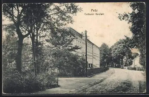 AK Peitz, Cottbuser Vorstadt, Strassenpartie