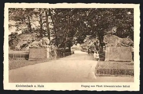 AK Kleinheubach a. Main, Eingang zum Fürstl. Löwenstein`schen Schloss