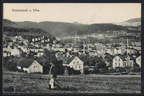 AK Bodenbach a. Elbe, Panorama