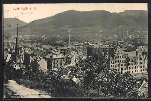 AK Bodenbach a. E., Panorama