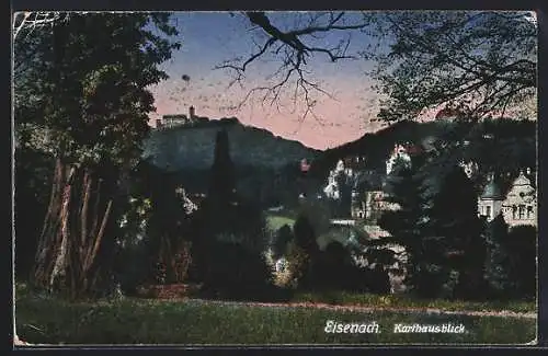 AK Eisenach / Thüringen, Karthausblick zur Burg