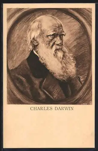 AK Porträt des Naturforschers Charles Darwin, Evolutionstheorie