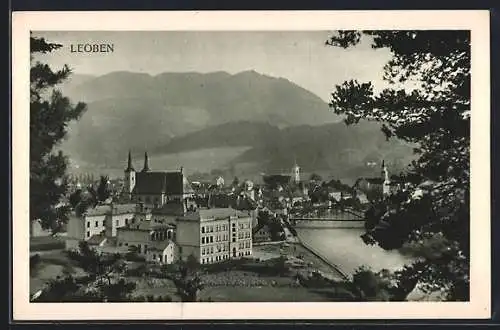 AK Leoben, Panorama